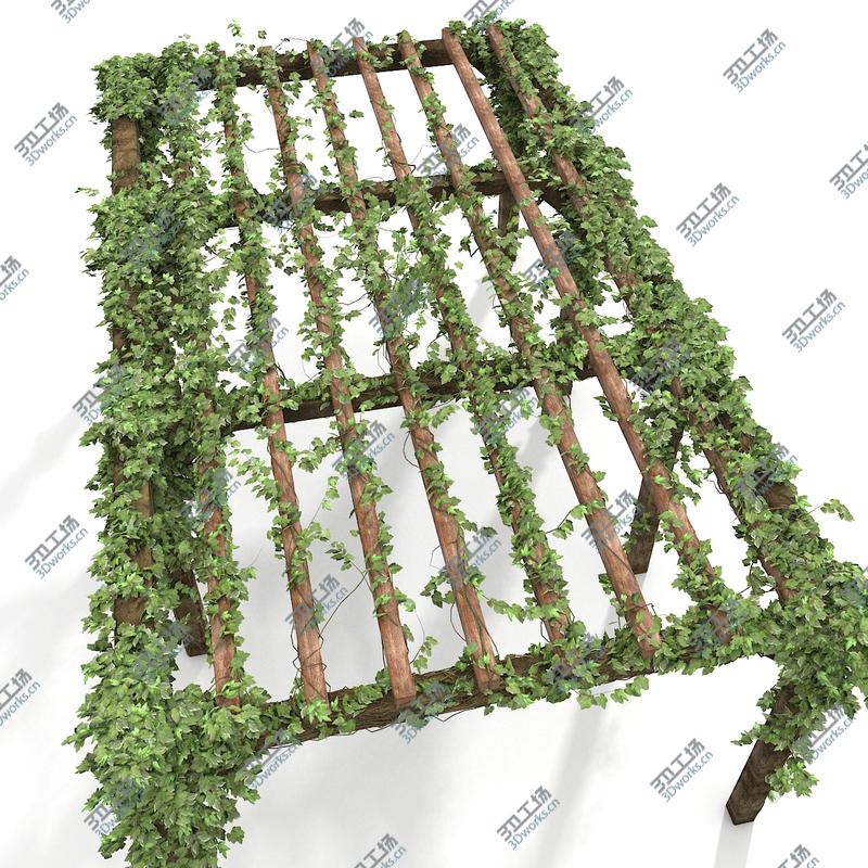 images/goods_img/2021040232/Wooden Pergola With Ivy Plant/3.jpg